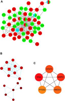 Construction of a Novel Ferroptosis-Related Gene Signature of Atherosclerosis